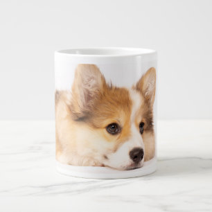Grande Tasse Animaux de bébés cutest   Baby Corgi Portrait de c