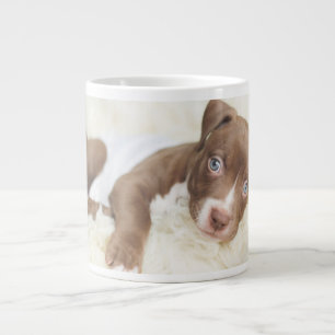 Grande Tasse Animaux de bébés cutest Baby Pit Bull Puppy