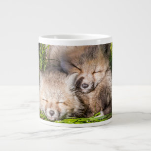 Grande Tasse Animaux de bébés cutest Baby Red Fox Kits Sleepi