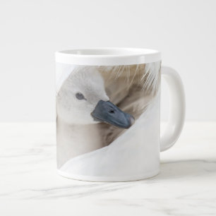 Grande Tasse Animaux de bébés cutest Bébé Mute Swan