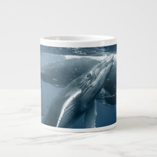 Grande Tasse Animaux de bébés cutest   Calf de baleine à bosse