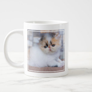 Grande Tasse Animaux de bébés cutest   Calico Persian Kitten