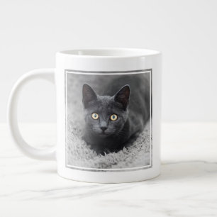 Grande Tasse Animaux de bébés cutest   Chat gris