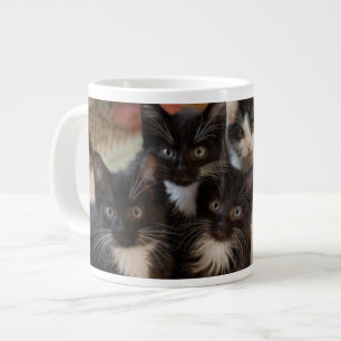 Grande Tasse Animaux de bébés cutest   Chatons noirs et blancs