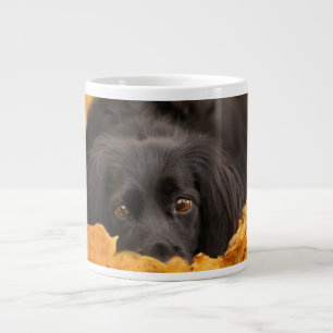 Grande Tasse Animaux de bébés cutest Chiot noir espagnol