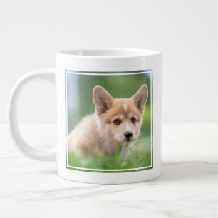 Grande Tasse Animaux de bébés cutest Corgi Puppy dans le tria