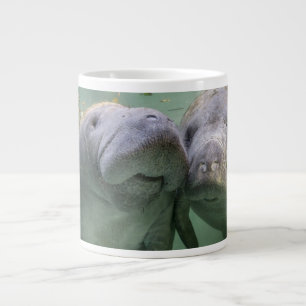 Grande Tasse Animaux de bébés cutest   Deux Manatees