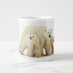 Grande Tasse Animaux de bébés cutest   Famille d'ours polaires