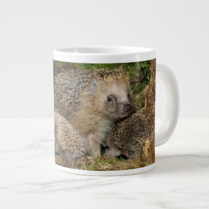 Grande Tasse Animaux de bébés cutest   Famille Hérisson