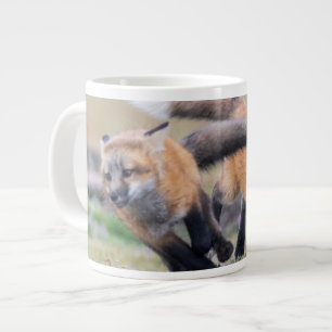 Grande Tasse Animaux de bébés cutest Fox Pups en jeu