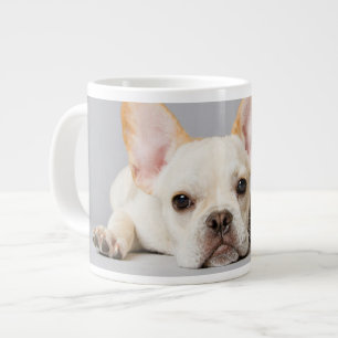 Grande Tasse Animaux de bébés cutest French Bulldog Lying Dow
