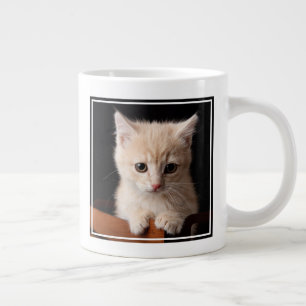 Grande Tasse Animaux de bébés cutest   Ginger Kitten