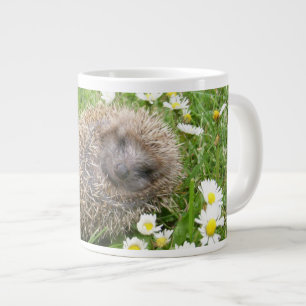 Grande Tasse Animaux de bébés cutest   Hérisson espagnol