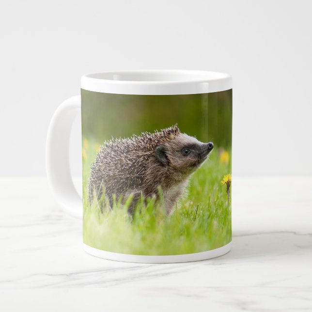 Grande Tasse Animaux de bébés cutest | Hérisson européen (Devant gauche)