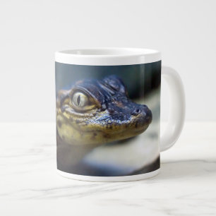 Grande Tasse Animaux de bébés cutest   Jeune alligator