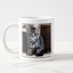 Grande Tasse Animaux de bébés cutest   Kitten sur Touches de pi