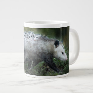 Grande Tasse Animaux de bébés cutest   Opossum Maman & Kids