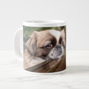 Grande Tasse Animaux de bébés cutest Pekingese Chiot en voitu