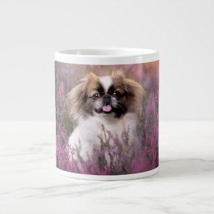 Grande Tasse Animaux de bébés cutest Pekingese Puppy