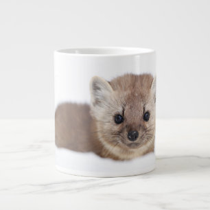 Grande Tasse Animaux de bébés cutest   Pine Marten
