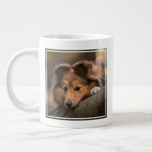 Grande Tasse Animaux de bébés cutest   Shetland Sheepdog Puppy