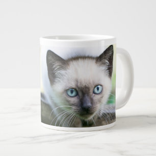 Grande Tasse Animaux de bébés cutest   Siamese Kitten 2