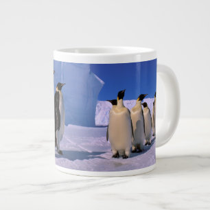 Grande Tasse Antarctique, territoire australien antarctique, 7