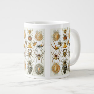 Grande Tasse Araignées ou arachnides vintage par Ernst Haeckel