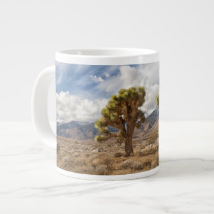Grande Tasse Arbres de Joshua dans le désert