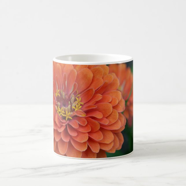 Grande tasse audacieuse de fleur de Zinnia (Centre)
