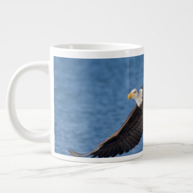 Grande Tasse Bald eagle in flight (Gauche)