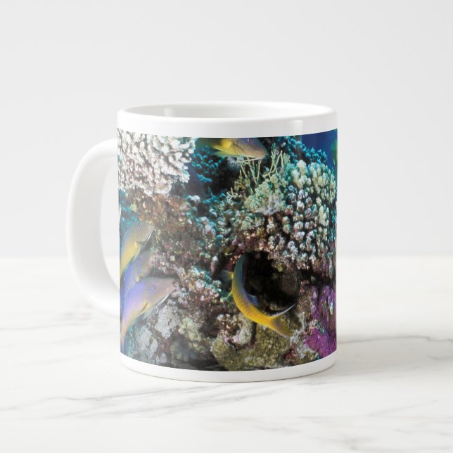 Grande Tasse Banc de rougets autour d'un petit corail (Devant gauche)