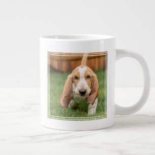 Grande Tasse Basset Hound chiot marchant
