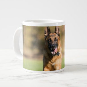 Grande Tasse Berger allemand en course