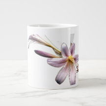 Bouchon de spécialité