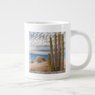 Grande Tasse Cactus dans un paysage désertique