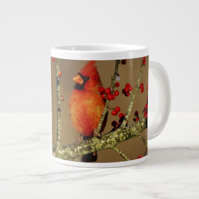 Grande Tasse Cardinal du Nord mâle perché, IL (Devant droit)