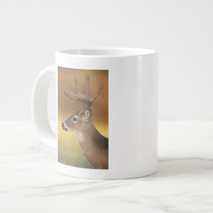 Grande Tasse Cerf de Virginie, Odocoileus virginianus,