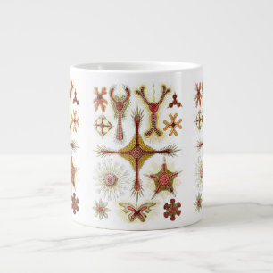 Grande Tasse Chamomile sauvage par Ernst Haeckel, Nature Vintag