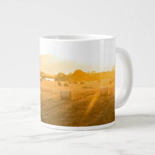 Grande Tasse Champ de blé Dornoch, Écosse du Nord, Royaume-U