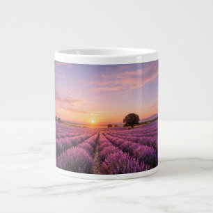 Grande Tasse Champ de lavande en fleurs au coucher de soleil do
