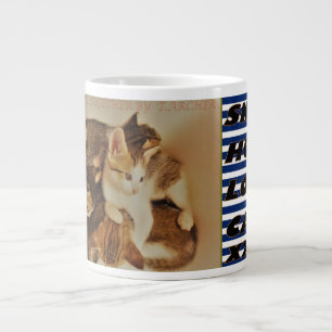Grande Tasse Chatons dans la photo de repos original