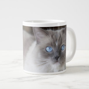 Grande Tasse Chatte Ragdoll