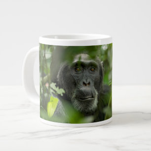 Grande Tasse Chimpanzé caché parmi la végétation