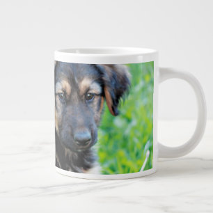 Grande Tasse Chiot de berger allemand