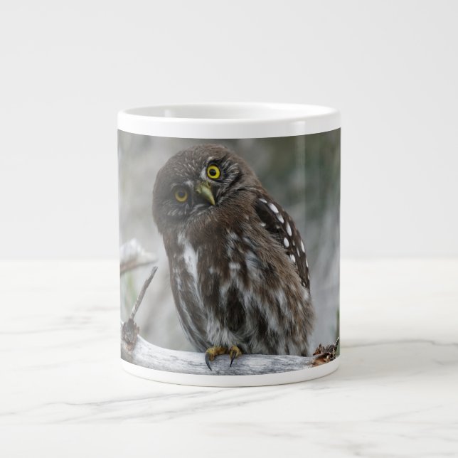 Grande Tasse Chouette pygmée du Nord (Devant)
