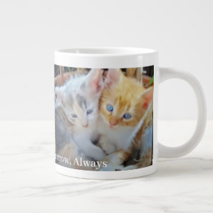 Grande Tasse Citation de photo de chatons