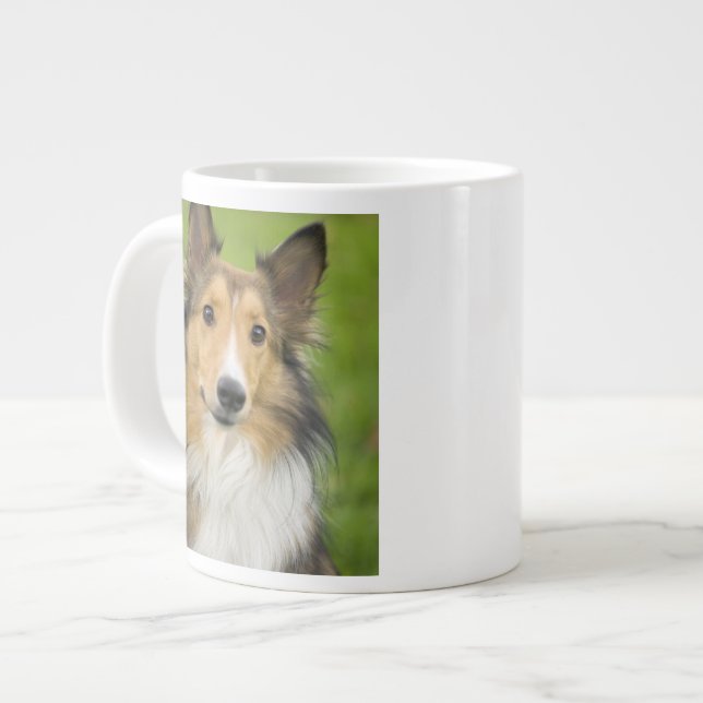 Grande Tasse Colley Rough, chien (Devant gauche)