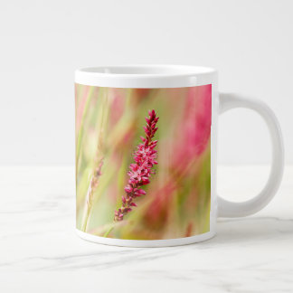 Grande Tasse coloris