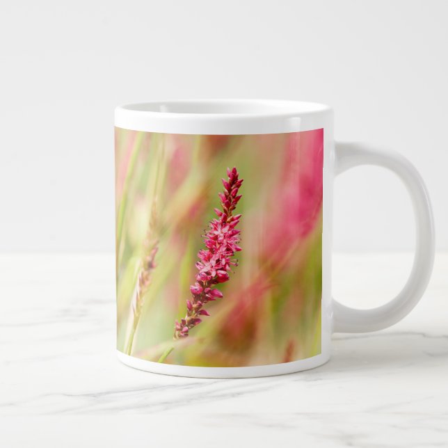 Grande Tasse coloris (Droite)